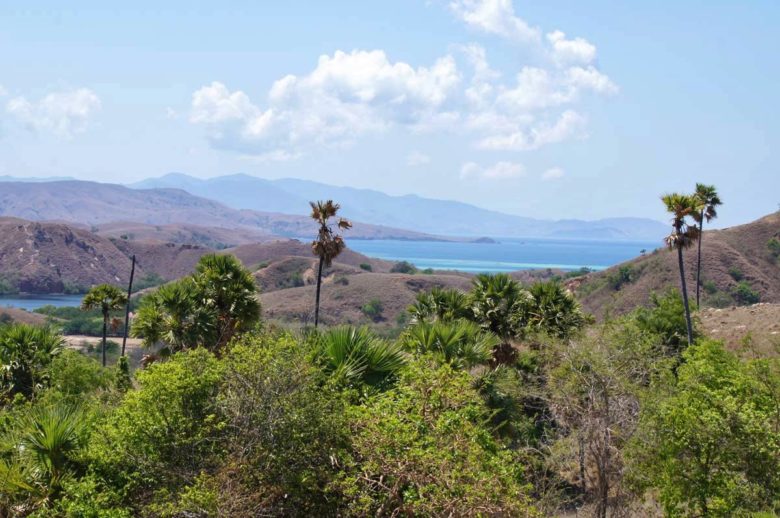 Komodo Nationalpark - Aussicht