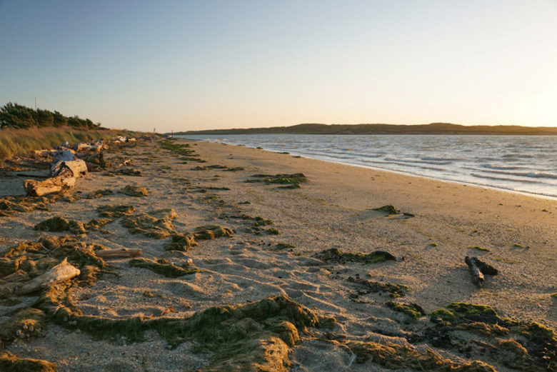 The Catlins Coast Sehenswürdigkeiten Strände