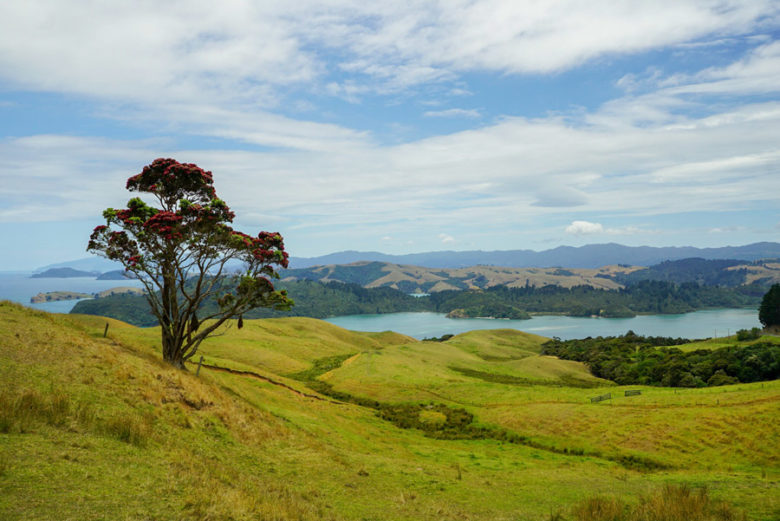 Coromandel Peninsula Neuseeland Roadtrip