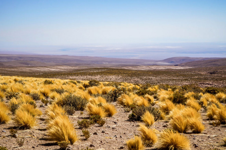 Blick auf Salzwüste Salar de Atacama