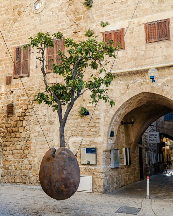 Tel Aviv Israel Floating Tree